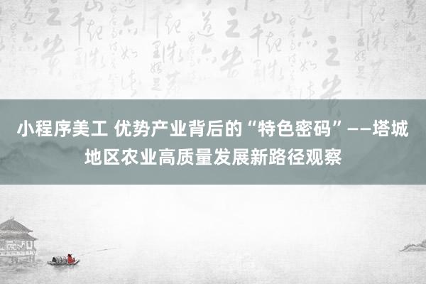 小程序美工 优势产业背后的“特色密码”——塔城地区农业高质量发展新路径观察