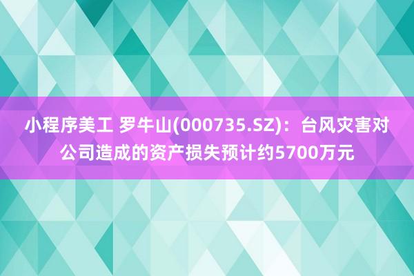 小程序美工 罗牛山(000735.SZ)：台风灾害对公司造成的资产损失预计约5700万元